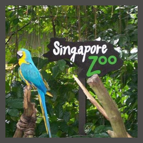 The Singapore Zoo, Singapore